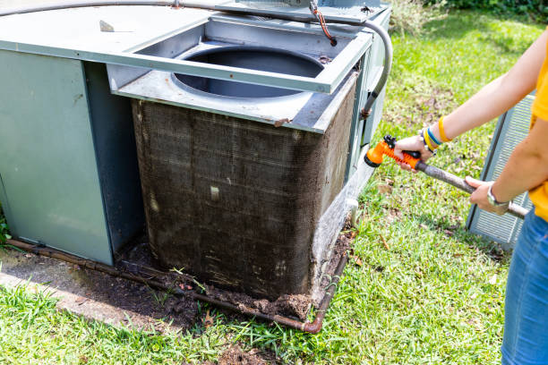 Best Home Air Vent Cleaning  in Willowbrook, CA