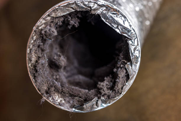 Best Air Duct Cleaning Near Me  in Willowbrook, CA